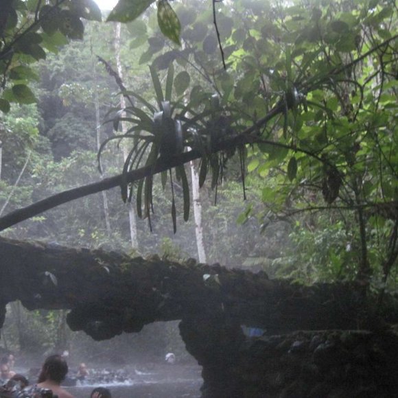 Costa Rican Hot Spring Volcanic Rocks Costa Rica Jungle Volcano Choose Variation - Picture 15 of 16